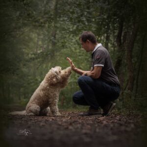 man met hond-highfive-in bos
