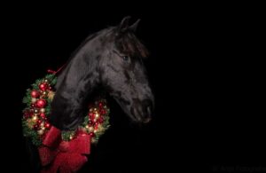 paard met kerstkrans 